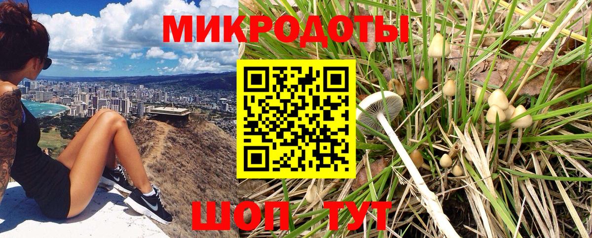 Конаково  Галлюциногенные грибы прущие грибы  Вход с VPN 